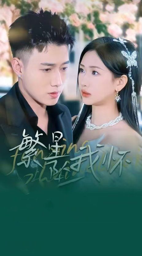 繁星坠我怀（再次爱上你）封面图