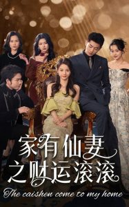 家有仙妻之财运滚滚封面图