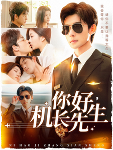 你好机长先生封面图