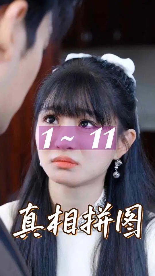 真相拼图封面图