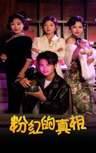 粉红的真相封面图