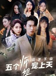 高手下山五个师姐宠上天封面图