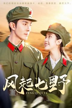 风起七野封面图