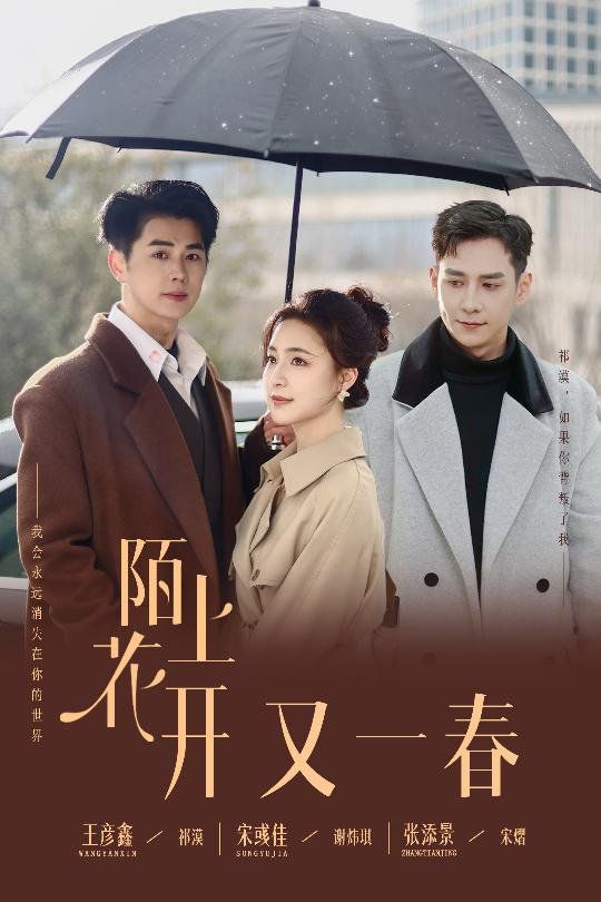 陌上花开又一春封面图