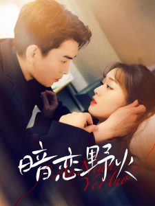 暗恋野火封面图