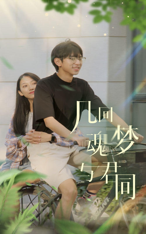 几回魂梦与君同封面图