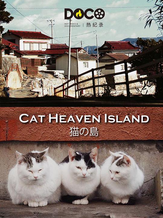 猫之岛封面图