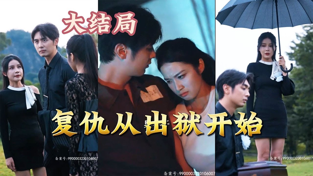 复仇从出狱开始封面图