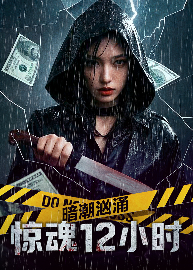 暗潮汹涌之惊魂12小时封面图