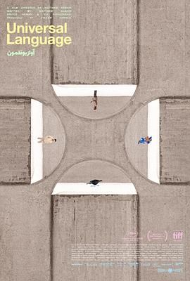 共同的语言封面图