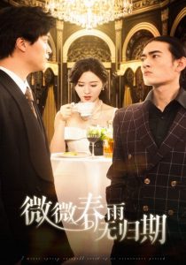 微微春雨无归期封面图