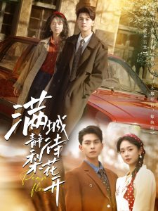 满城静待梨花开封面图