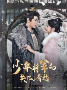 少年将军的失忆小青梅封面图