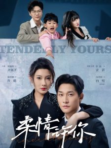 柔情许你封面图