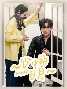 心中的日月封面图