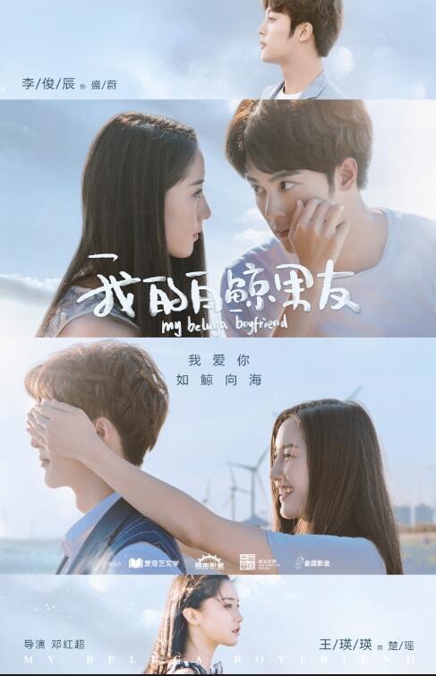 我的白鲸男友封面图