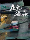 夜色温柔封面图