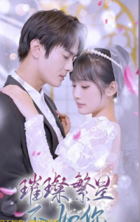 璀璨繁星不如你封面图