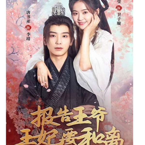 报告王爷，王妃要和离封面图