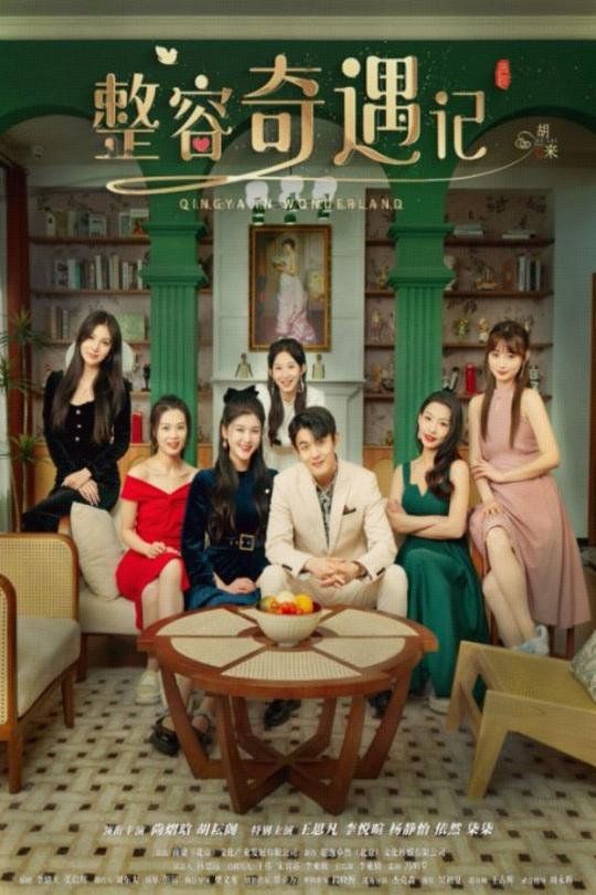 整容奇遇记封面图