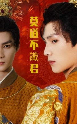 莫道不识君封面图