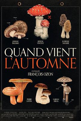 秋日何时来[电影解说]封面图