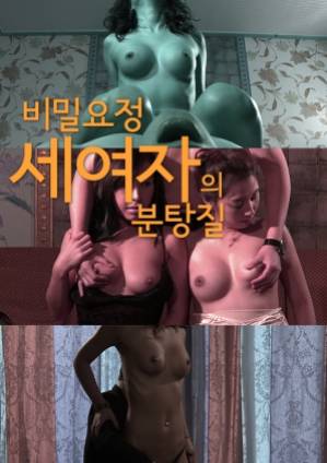 三位秘密仙女的除尘封面图