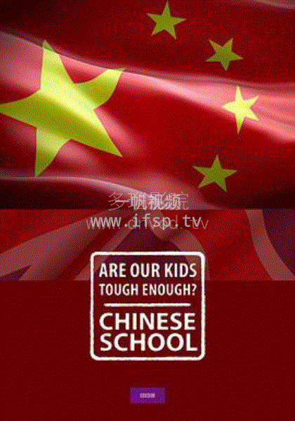 中国老师来了封面图