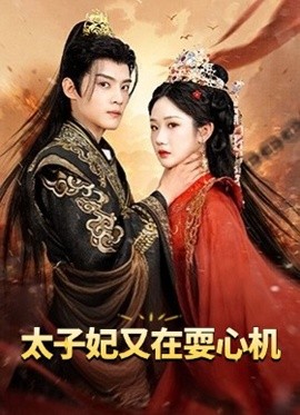 太子妃又在耍心机封面图