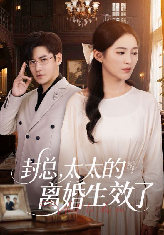 封总太太的离婚生效了封面图