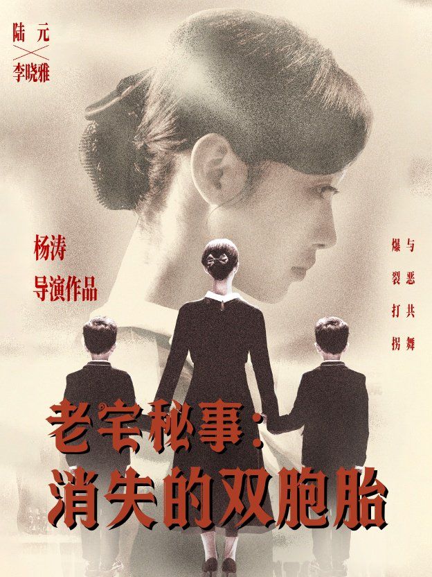 老宅秘事消失的双胞胎（消失的孩子）封面图