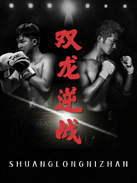 双龙逆战 拳王之父子双龙封面图