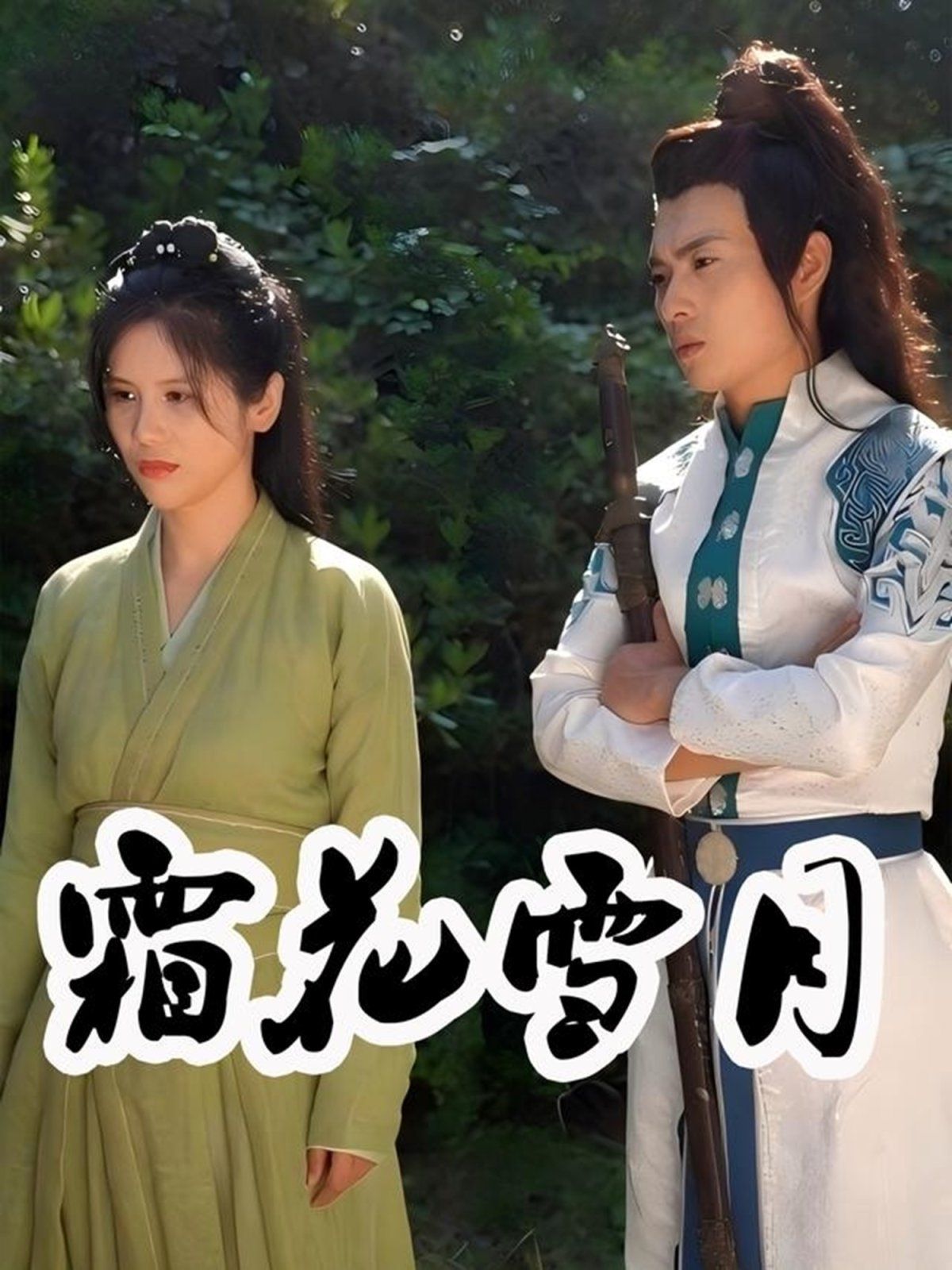 霜花雪月封面图