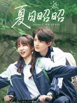 夏日昭昭封面图