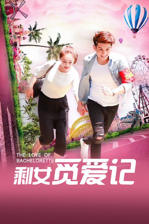 剩女觅爱记封面图