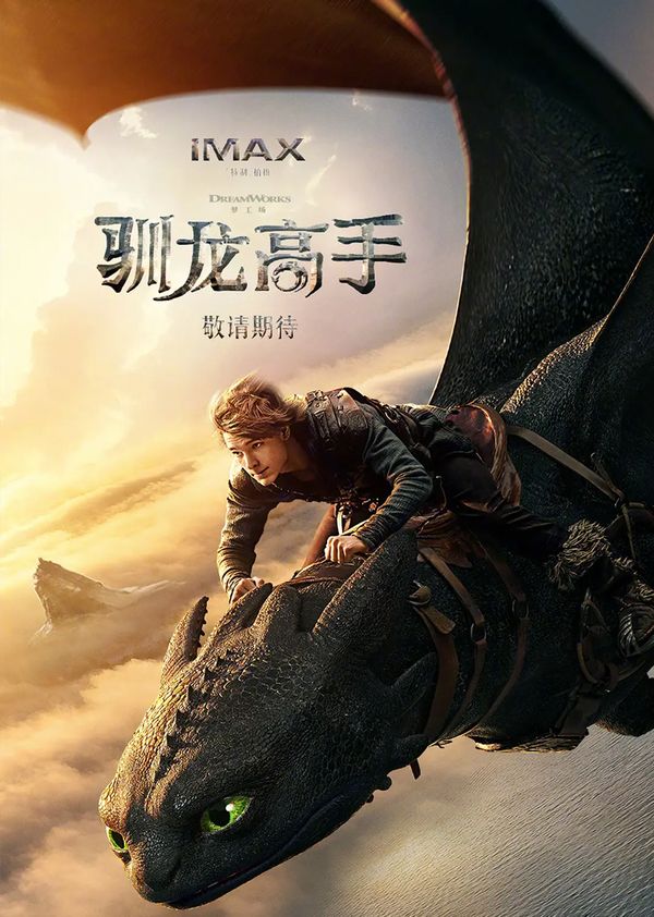 驯龙高手封面图