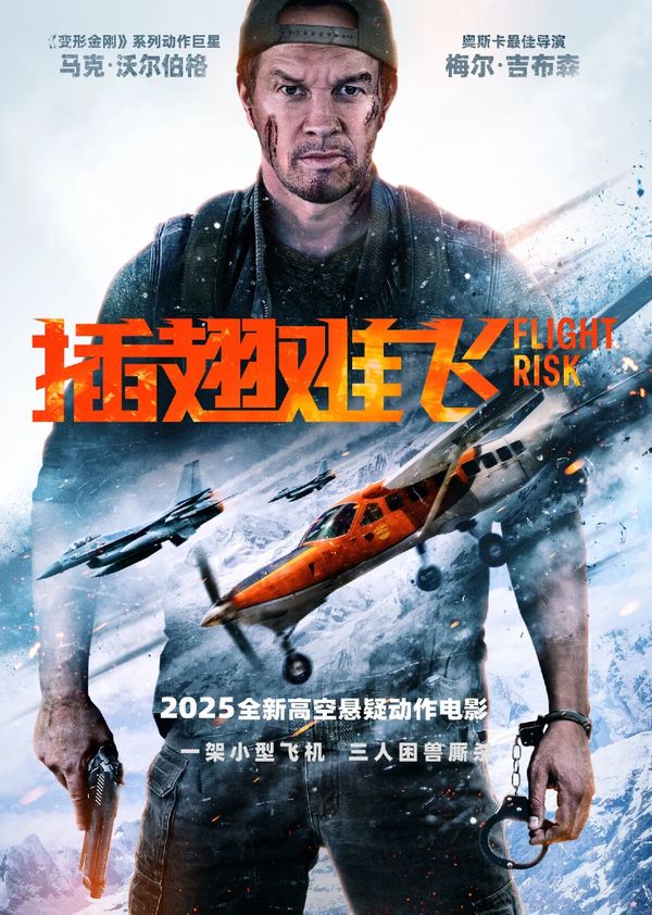 插翅难飞封面图