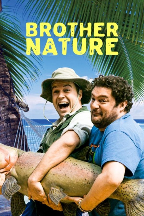 兄弟是天生封面图