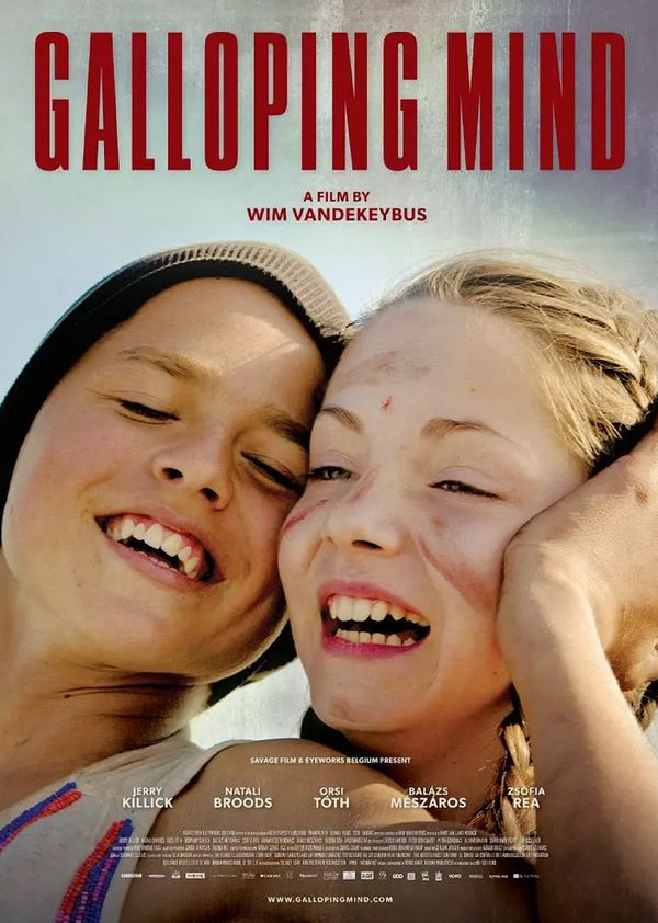 舞动的心封面图