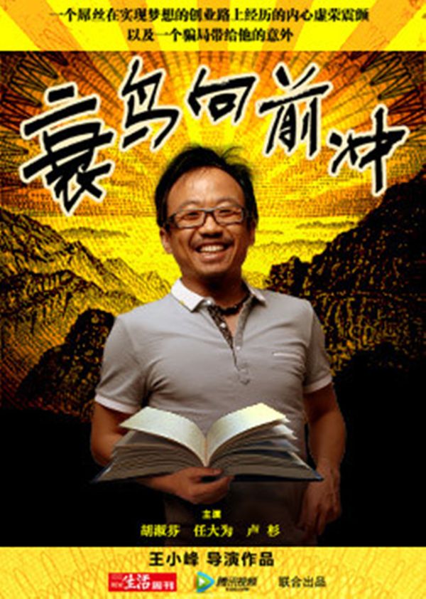 衰鸟向前冲封面图