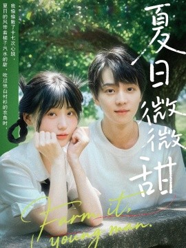 夏日微微甜封面图