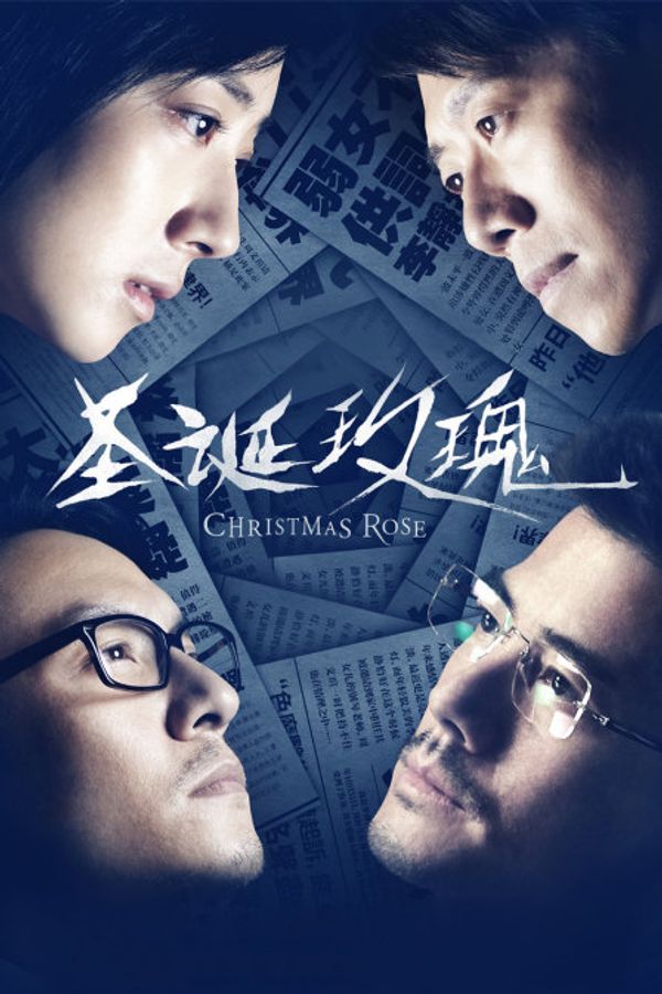 圣诞玫瑰封面图