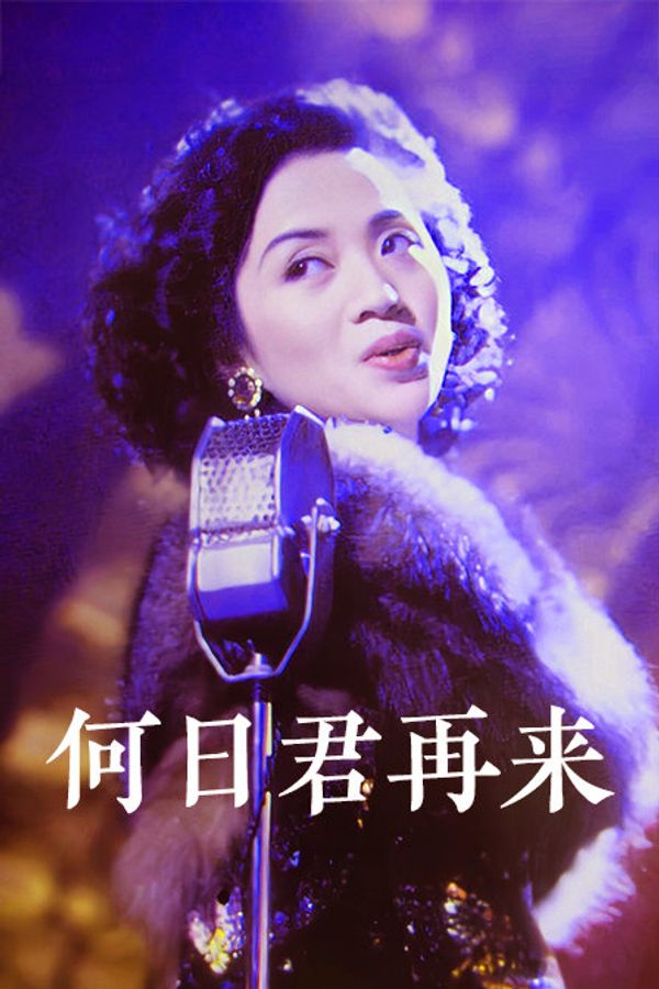 何日君再来封面图