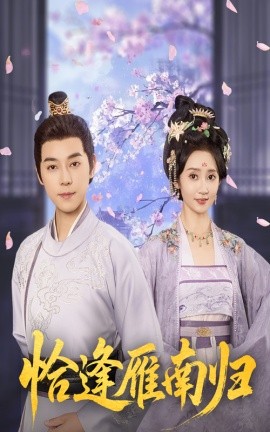 恰逢雁南归封面图