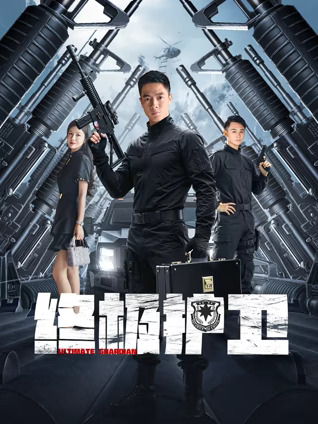 终极护卫封面图