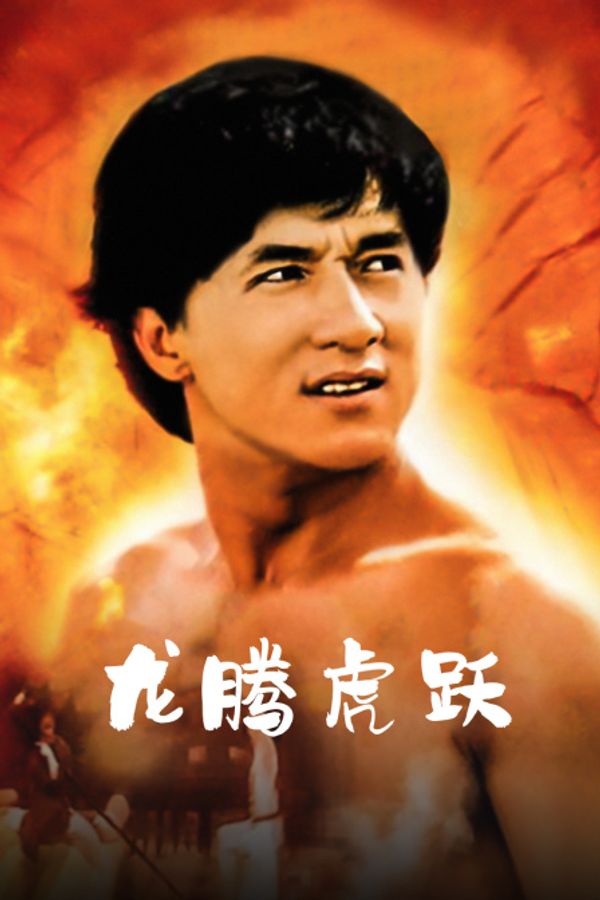 龙腾虎跃封面图