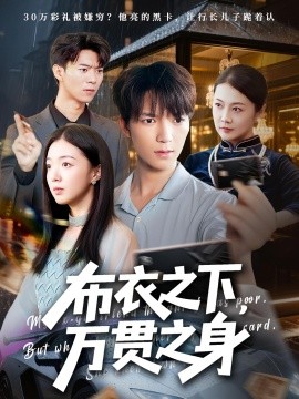 布衣之下，万贯之身封面图
