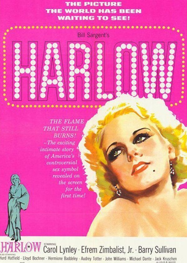 珍哈露情史封面图