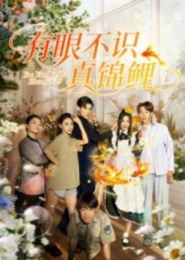 有眼不识真锦鲤封面图