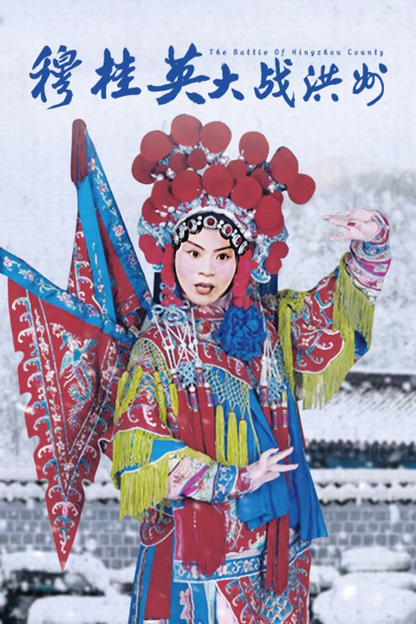 穆桂英大战洪州封面图